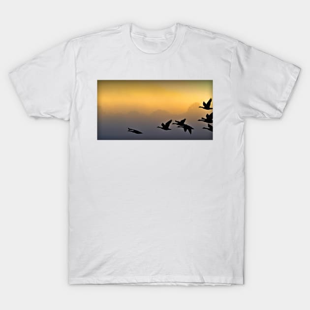 Geese T-Shirt by richard49